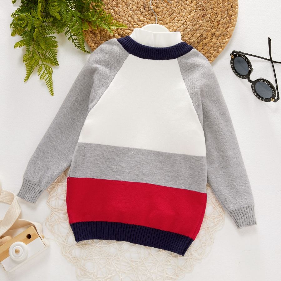 Toddler Boy Colorblock Button Design Sweater Cardigan Light Grey big image 2