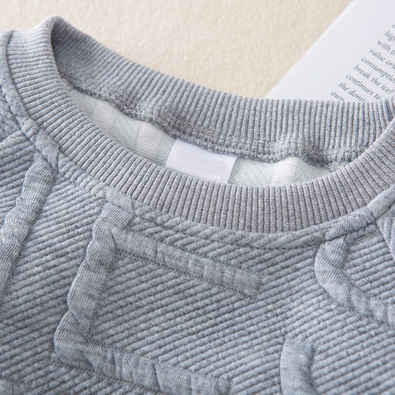 Kid Boy Solid Color Letter Textured Pullover Sweatshirt Grey big image 3