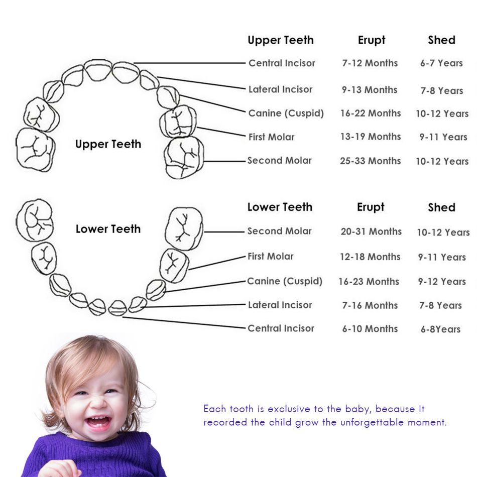 Scatola per denti da latte Scatole per ricordi di denti decidui Contenitore per ricordi per bambini in legno per conservare la memoria d'infanzia Giallo big image 6