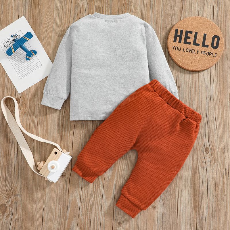 100% Cotton 2pcs Letter and Cartoon Lion Print Long-sleeve Pullover and Trousers Set Light Grey big image 2