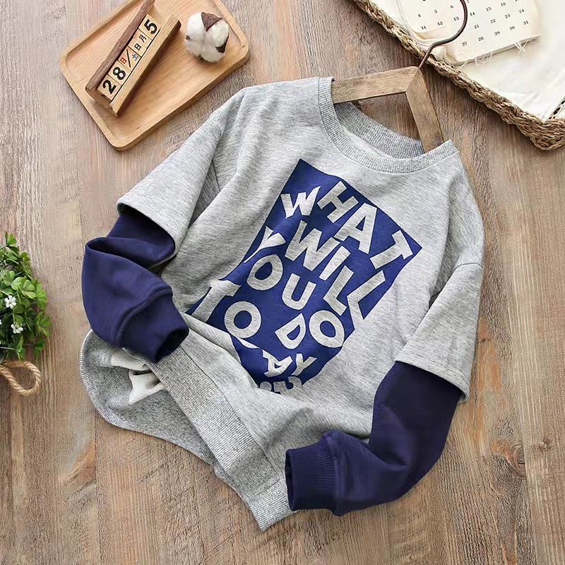 Toddler Boy Letter Print Colorblock Faux-two Sweatshirt Grey