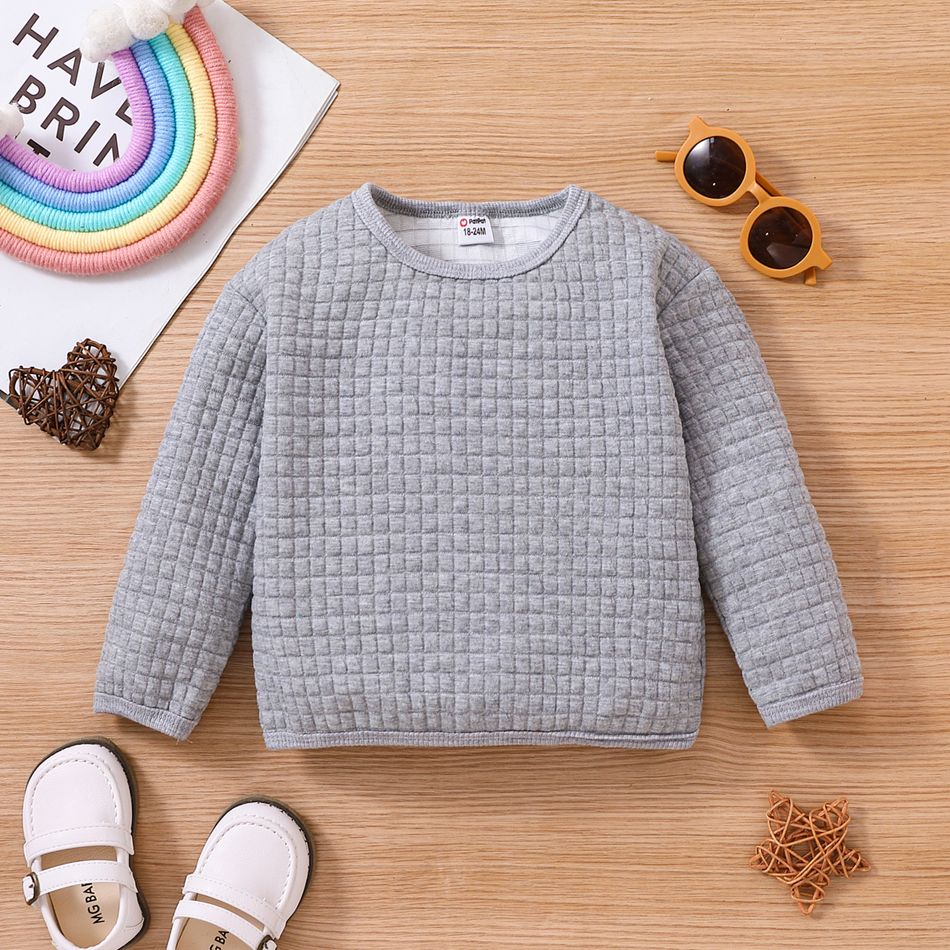 Toddler Boy Basic Textured Solid Color Pullover Sweatshirt Light Grey