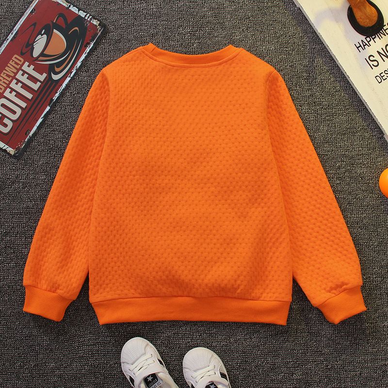 Kid Boy Letter Embroidered Textured Pullover Sweatshirt Orange big image 2