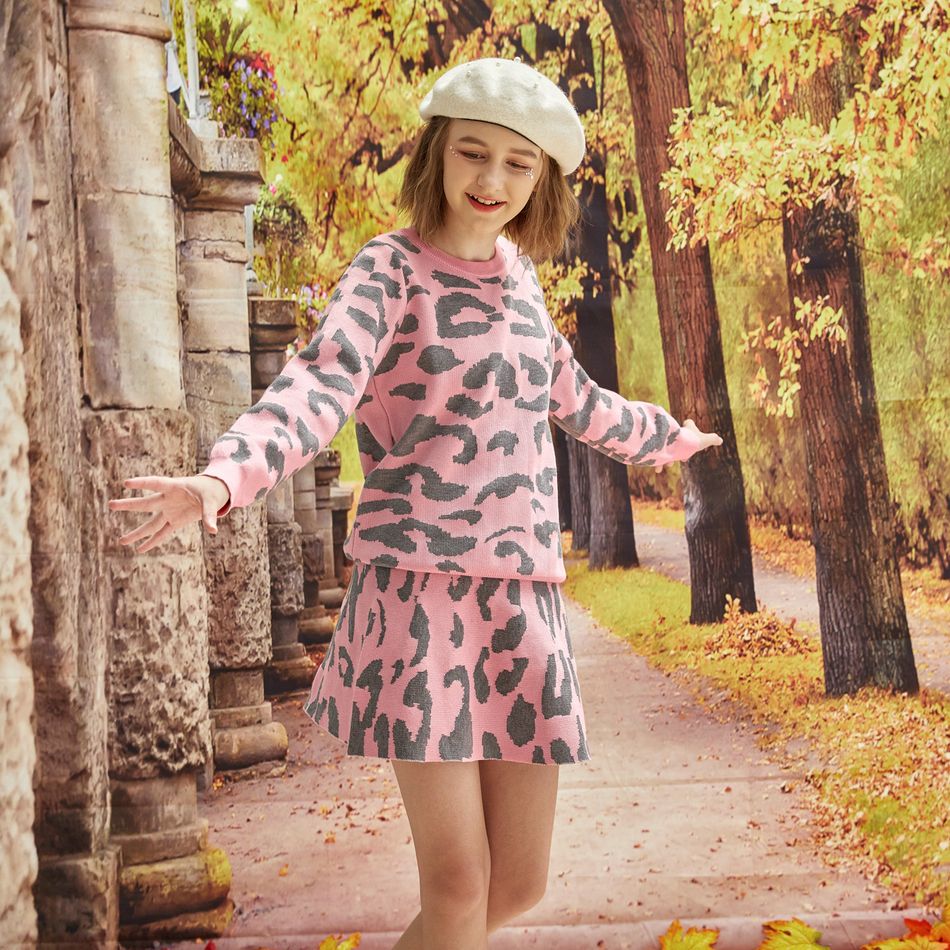 2-piece Kid Girl Leopard Print Knit Pullover and Elasticized Skirt Set Multi-color