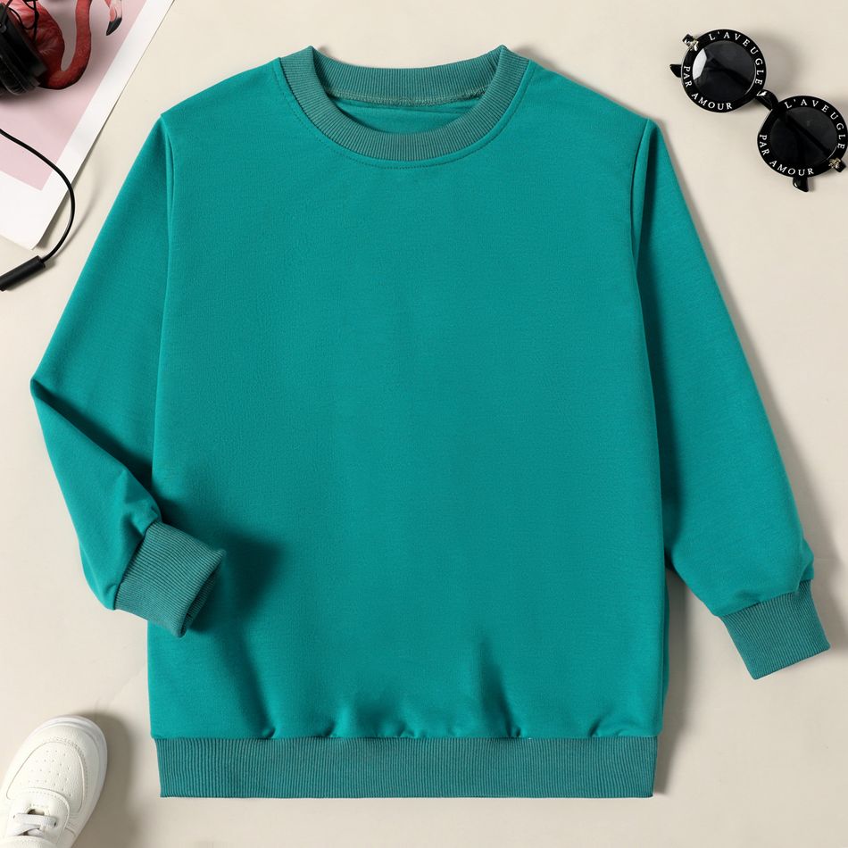 Kid Boy/Kid Girl Casual Solid Color Pullover Sweatshirt Turquoise big image 1