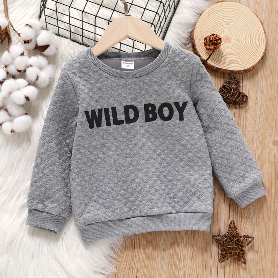 Toddler Boy Letter Print Textured Pullover Sweatshirt flowergrey