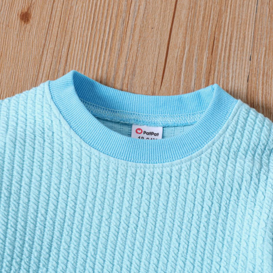 2pcs Toddler Girl Solid Color Textured Sweatshirt and Elasticized Pants Set Lakeblue big image 4