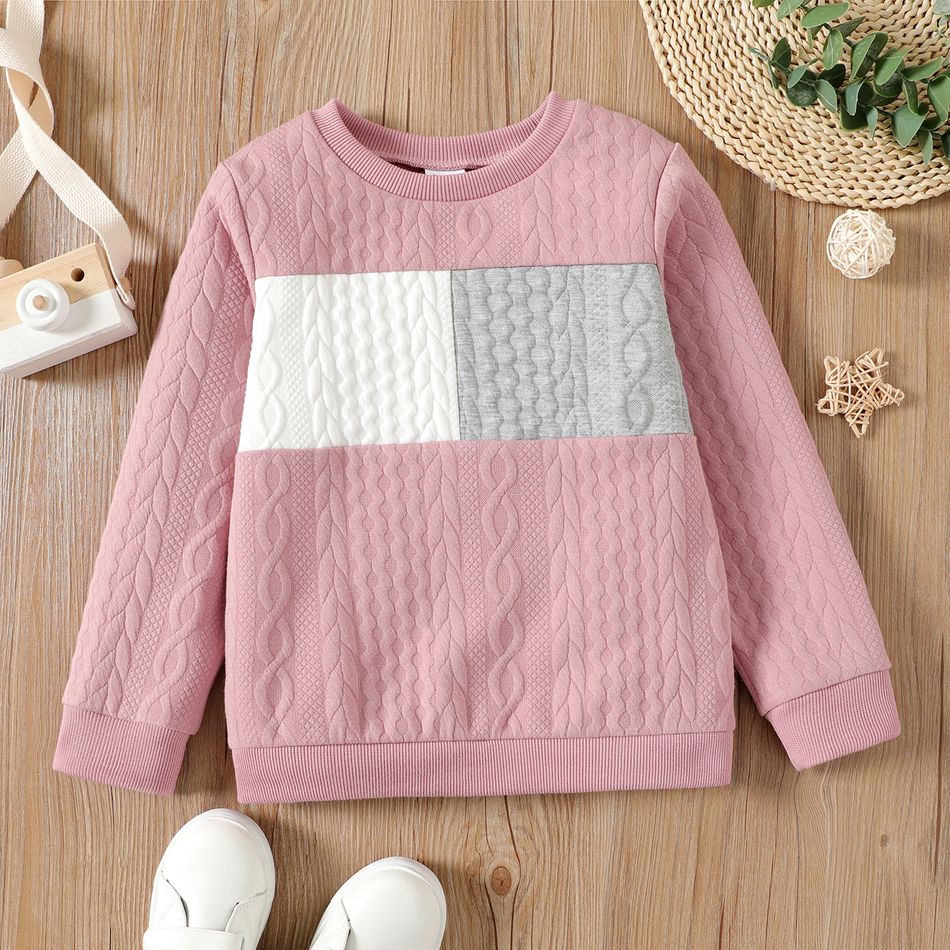 Kid Boy/Kid Girl Colorblock Textured Pullover Sweatshirt Pink big image 1