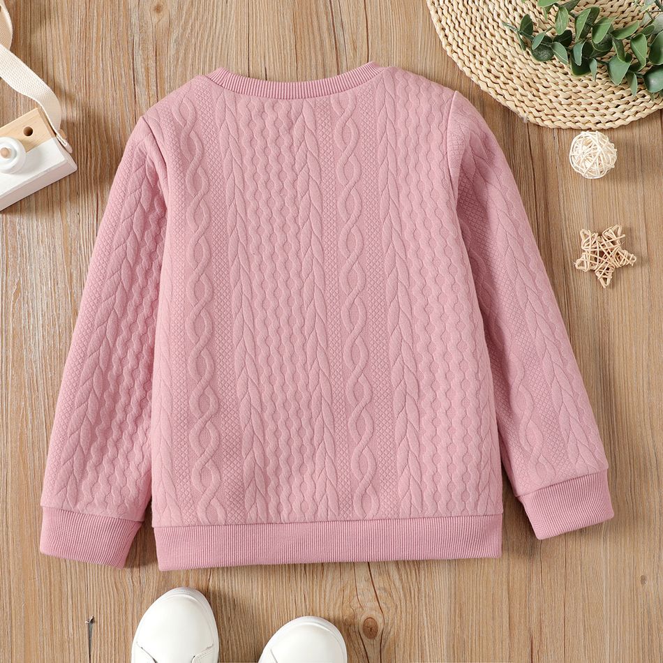 Kid Boy/Kid Girl Colorblock Textured Pullover Sweatshirt Pink big image 5