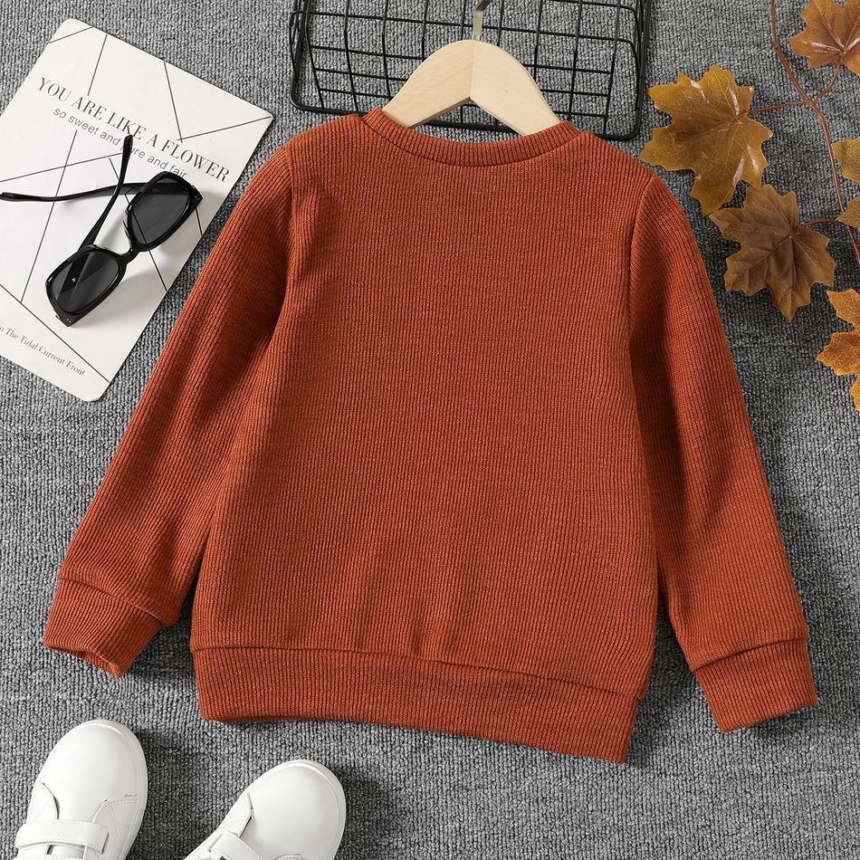 Kid Boy/Kid Girl Letter Print Brown Knit Sweater Apricot brown big image 2