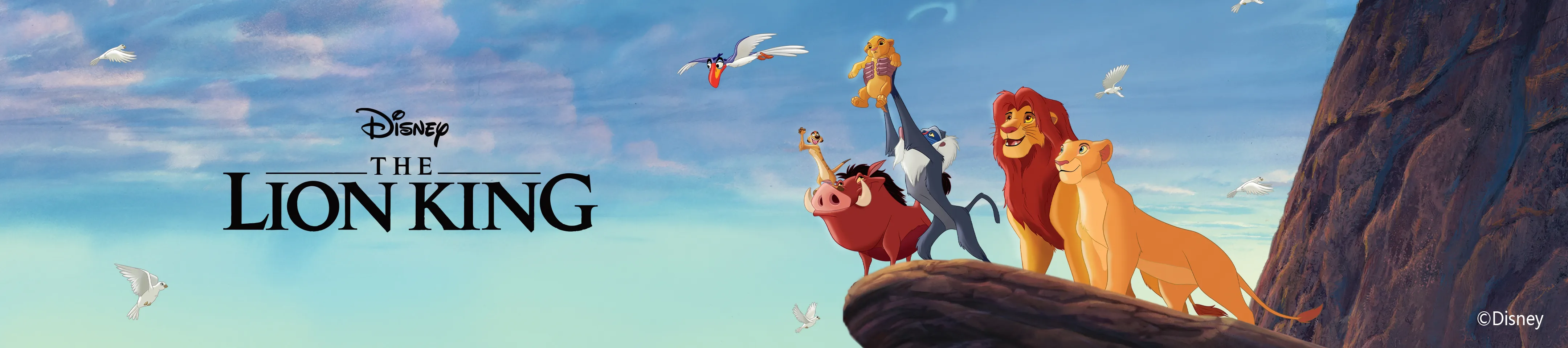 Buy Disney Outfits Disney Lion King  Clothes Online for Sale - PatPat US 