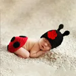 Ladybug Prop for Baby Photography  image 4