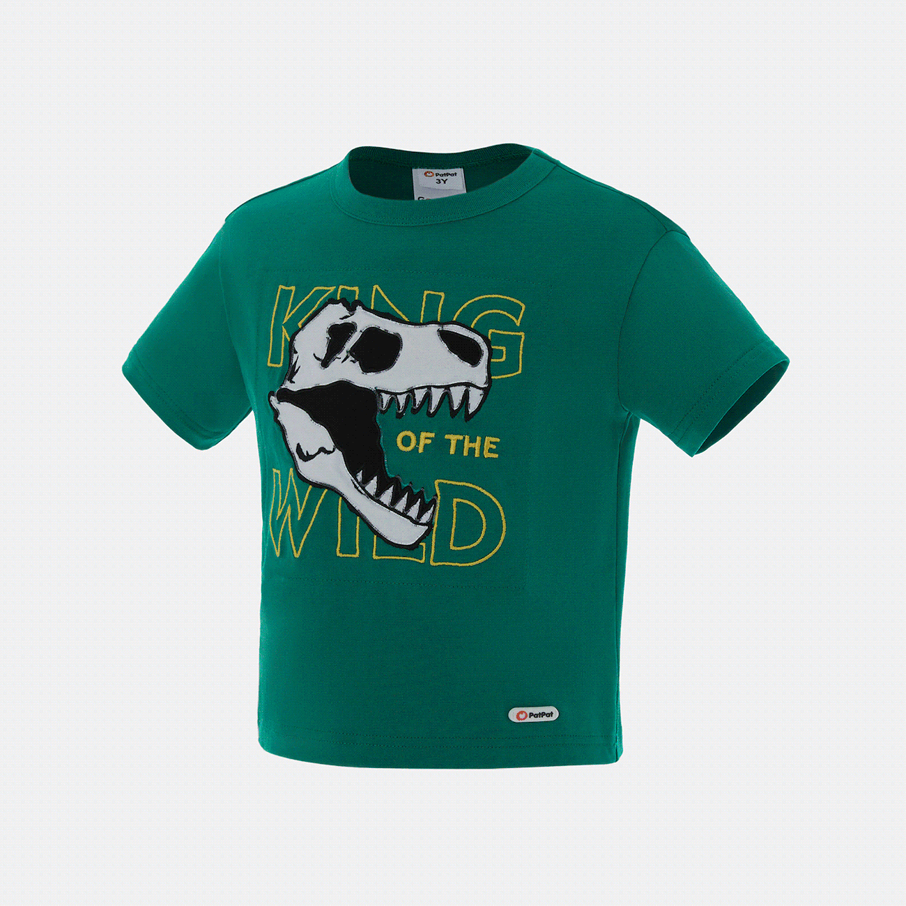 Kleinkinder Jungen Kindlich Dinosaurier Kurzärmelig T-Shirts grün big image 1