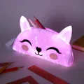 Go-Glow Light Up Pencil Case with Cat Pattern Including Controller (Battery Inside)  image 1