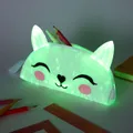 Go-Glow Light Up Pencil Case with Cat Pattern Including Controller (Battery Inside)  image 4