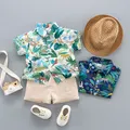 3pcs Toddler Boy Vacation Straw Hat and Animal Floral Print & Shorts Set  image 3
