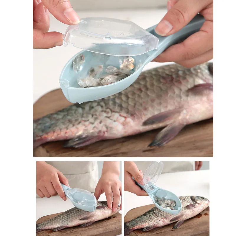 With a Lid Practical Scale-Removing Knife to Kill Fish Hand Scaler Fish Scaler Home Kitchen Small Tools Light Green image 4
