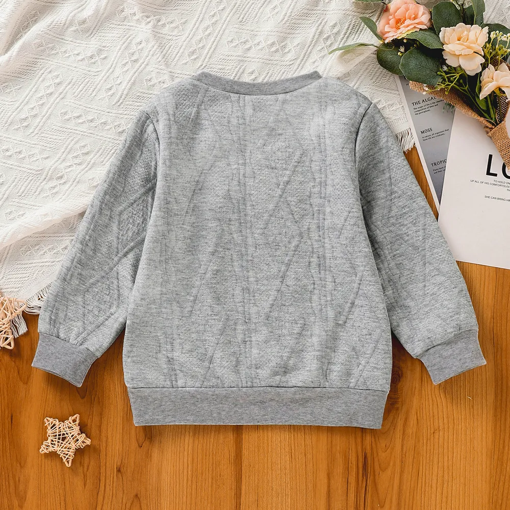 Toddler Girl Textured Solid Pullover Sweatshirt  big image 5
