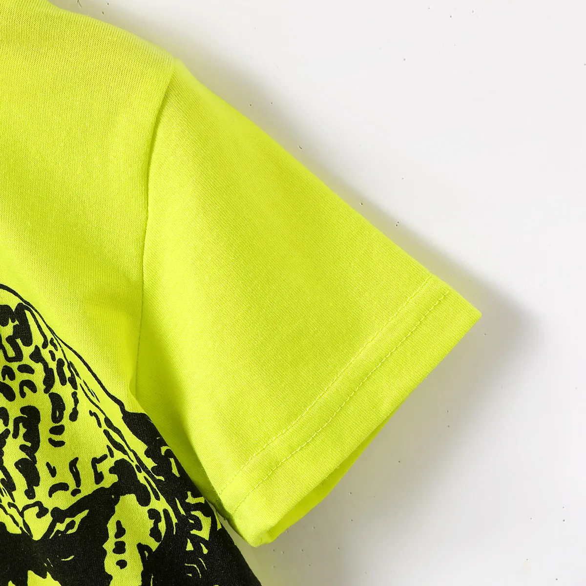 2pcs Toddler Boy Dinosaur Print Short-sleeve Tee and Ripped Denim Shorts Set Pale Green image 5