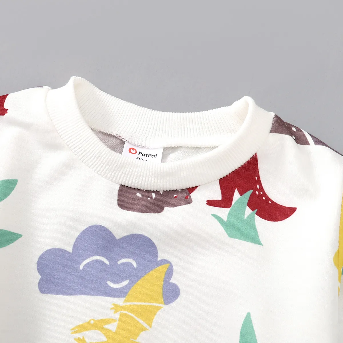 2 Stück Kleinkinder Jungen Löcher Kindlich Dinosaurier Sweatshirt-Sets weiß big image 1