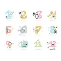 Baby Milestone Photo Commemorative Stickers for January to December  image 1