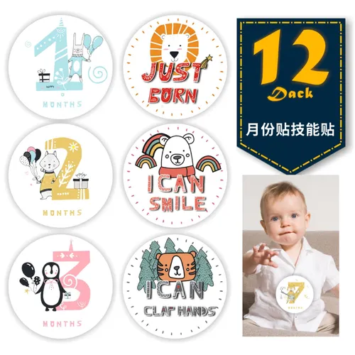 Baby Milestone Photo Commemorative Stickers for January to December