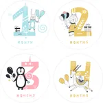 Baby Milestone Photo Commemorative Stickers for January to December  image 3