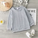 Toddler Girl Solid Casual Cable Knit Sweater Blue