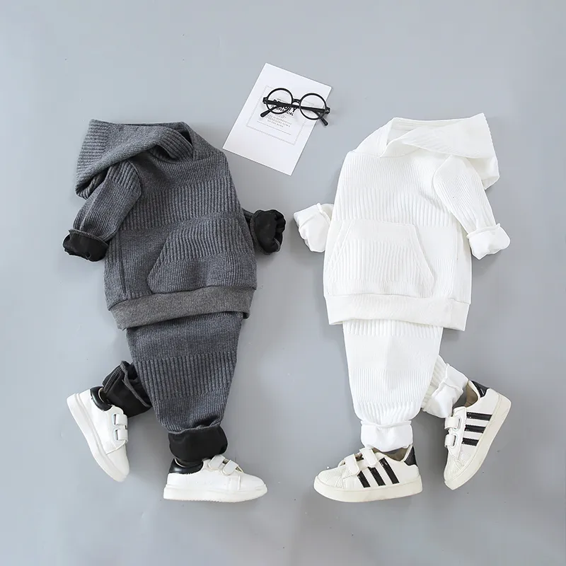 2 Stück Kleinkinder Jungen Mit Kapuze Lässig Sweatshirt-Sets grau big image 1
