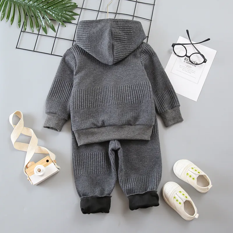 2-piece Toddler Boy Solid Color Hoodie Sweatshirt and Pants Casual Set Grey big image 1