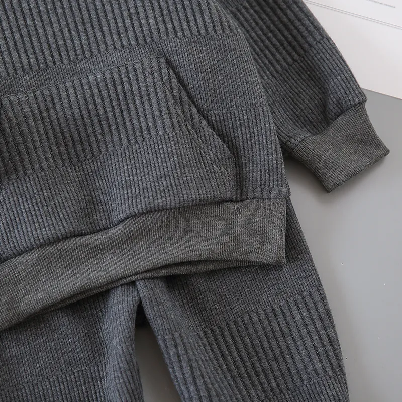 2 Stück Kleinkinder Jungen Mit Kapuze Lässig Sweatshirt-Sets grau big image 1
