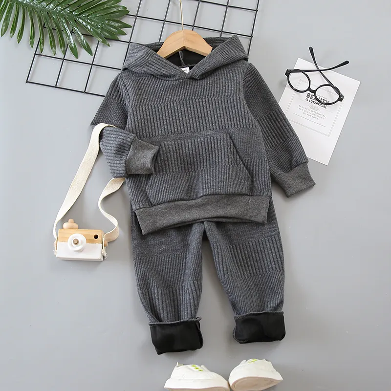 2-piece Toddler Boy Solid Color Hoodie Sweatshirt and Pants Casual Set Grey big image 1
