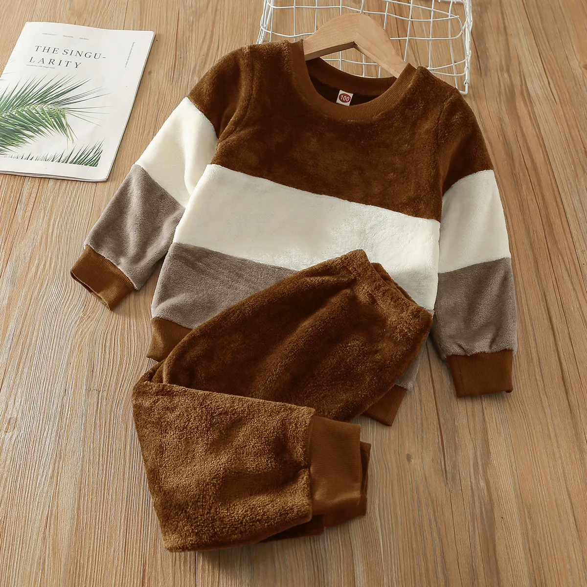 2-piece Toddler Boy Colorblock Fuzzy Flannel Fleece Pullover Sweatshirt And Solid Color Pants Set