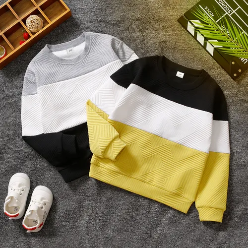 Kid Boy Casual Colorblock Textured Pullover Sweatshirt