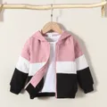 Toddler Girl/Boy Trendy Colorblock Textured Hooded Jacket  image 1