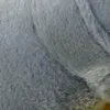 Bébé Fille Décontracté Motifs animaux Chaussures d'avant marche Gris