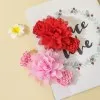 2-pack Pure Color Big Floral Headband Hair Accessories for Girls (Without Paper Card) Color-B