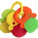 Baby Teether Fruit Shape Baby Teethers with Rattle Infant Teething Toys Red