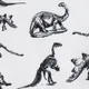 طقم من قطعتين من سويت شيرت وبنطلون رياضي بأكمام طويلة مطبوع عليه الديناصورات للأطفال أبيض