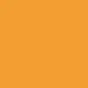 Winnie the Pooh T-Shirt for Toddler (Long Sleeve) Orange