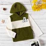Kid Boy Letter Embroidered Colorblock Fuzzy Hoodie Sweatshirt Army green
