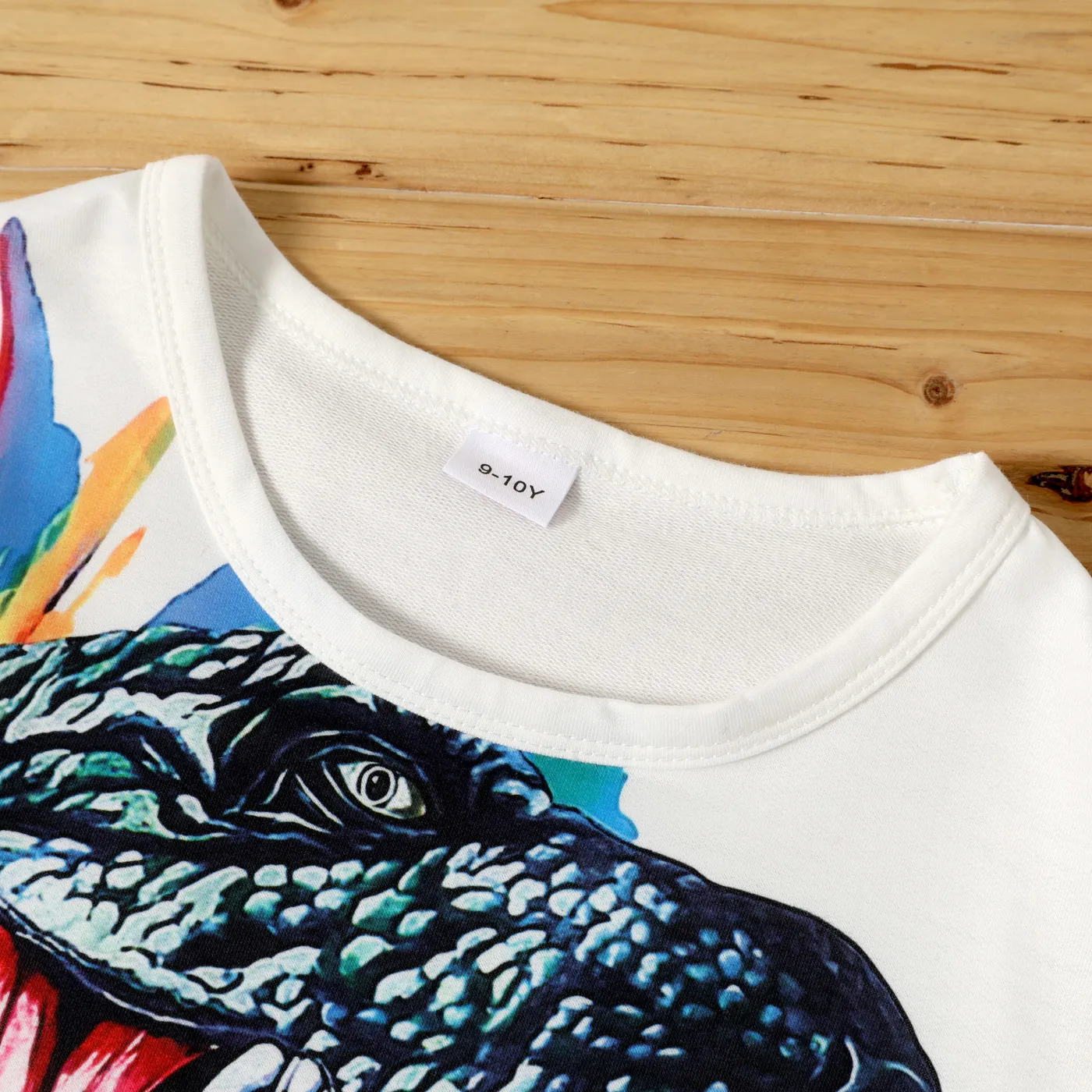 Kid Boy Dinosaur Painting Print Pullover Sweatshirt White image 3