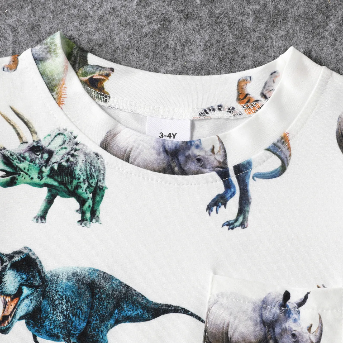 Look Familial Dinosaure Manches courtes Tenues de famille assorties Ensemble Blanc big image 1