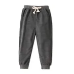 Toddler Boy Solid Color Casual Joggers Pants Sporty Sweatpants for Spring and Autumn Dark Grey