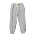 Toddler Boy Solid Color Casual Joggers Pants Sporty Sweatpants for Spring and Autumn  image 1