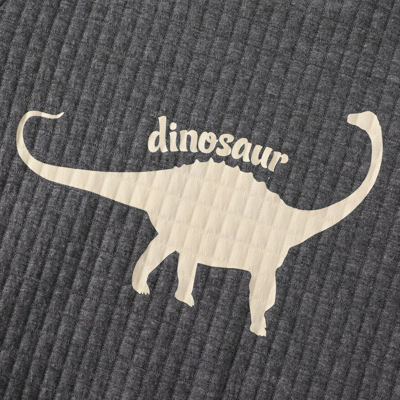 Kid Boy Animal Dinosaur Print Textured Pullover Sweatshirt Dark Grey big image 1