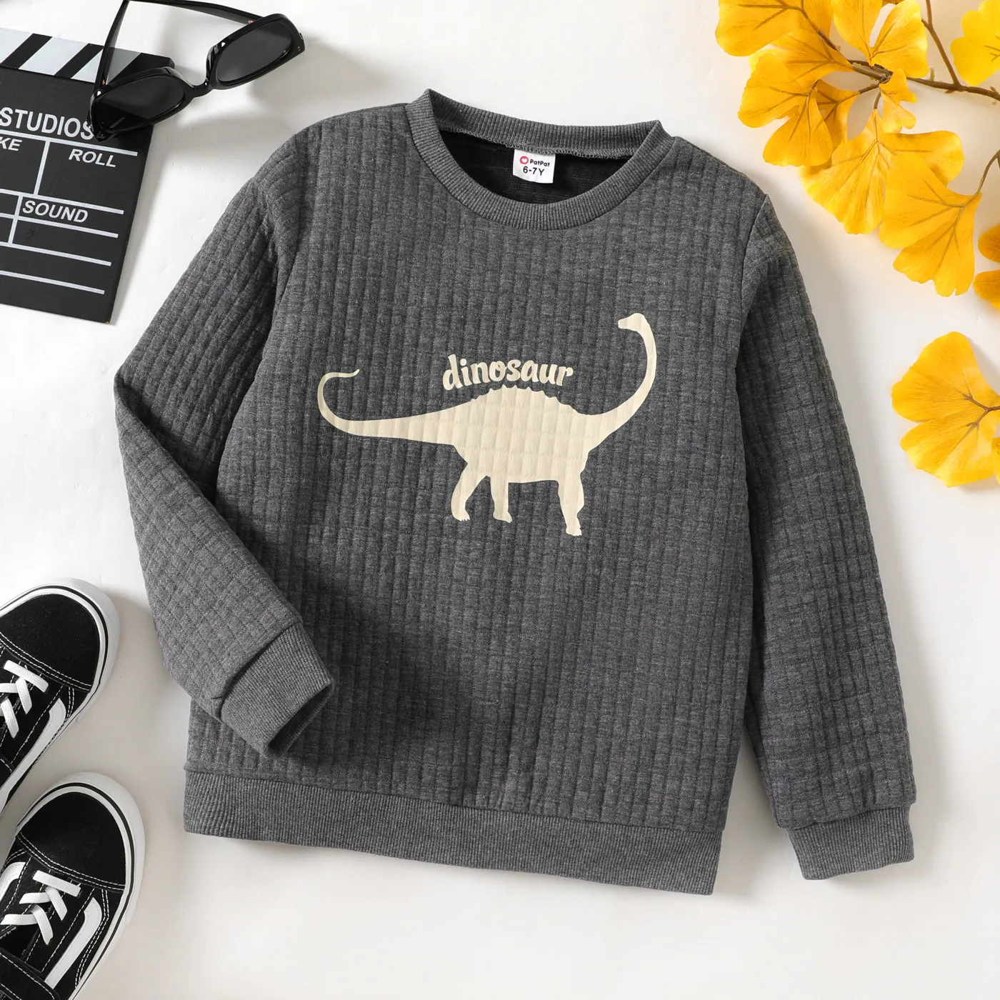 Kid Boy Animal Dinosaur Print Textured Pullover Sweatshirt