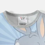 Looney Tunes Baby Boy/Girl Cartoon Print Colorblock Long-sleeve Sweatshirt  image 3
