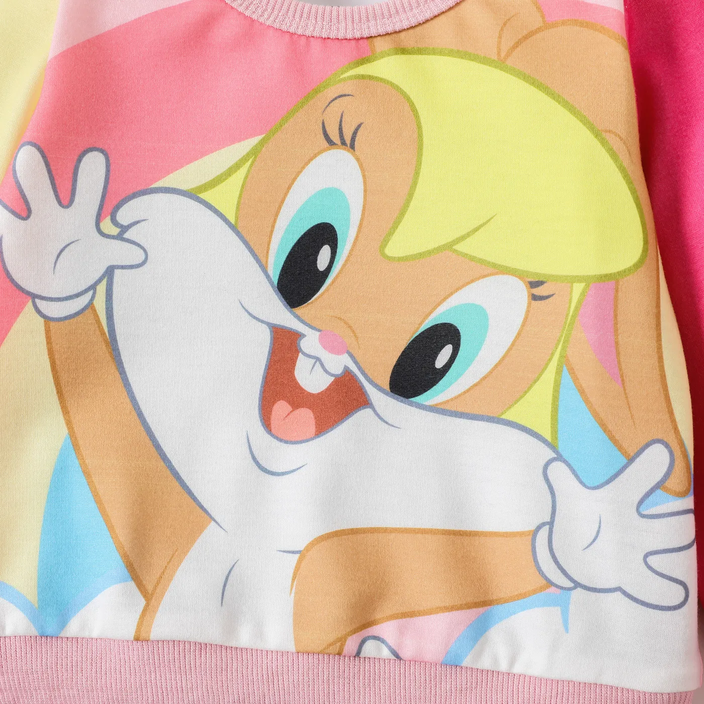 Looney Tunes Baby Boy/Girl Cartoon Print Colorblock Long-sleeve Sweatshirt  image 4