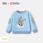 Looney Tunes Baby Boy/Girl Animal Embroidered Long-sleeve Sweatshirt/ Sweatpants/ Vest Blue grey